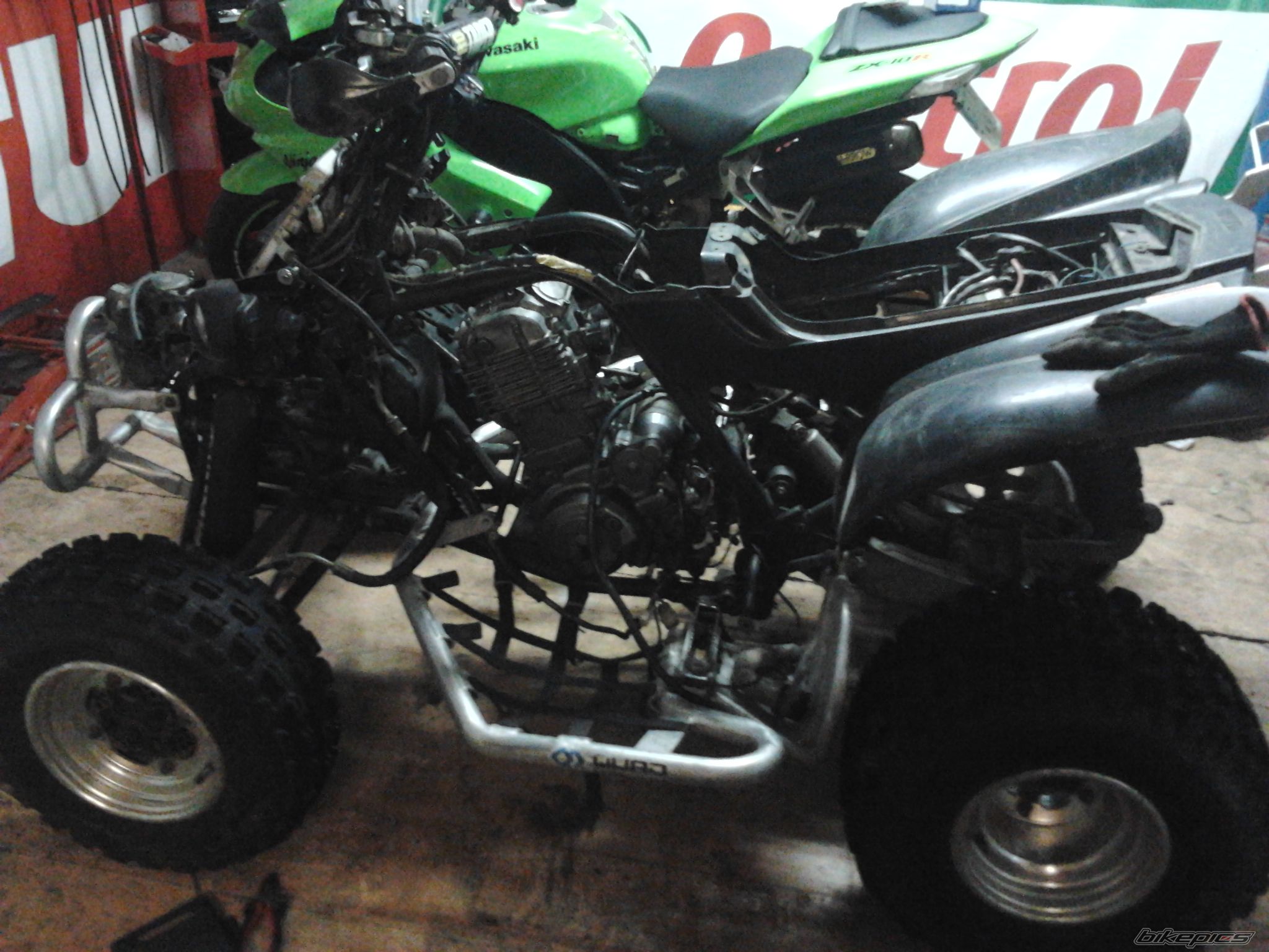   | Picture 2522111 motorcycle photo