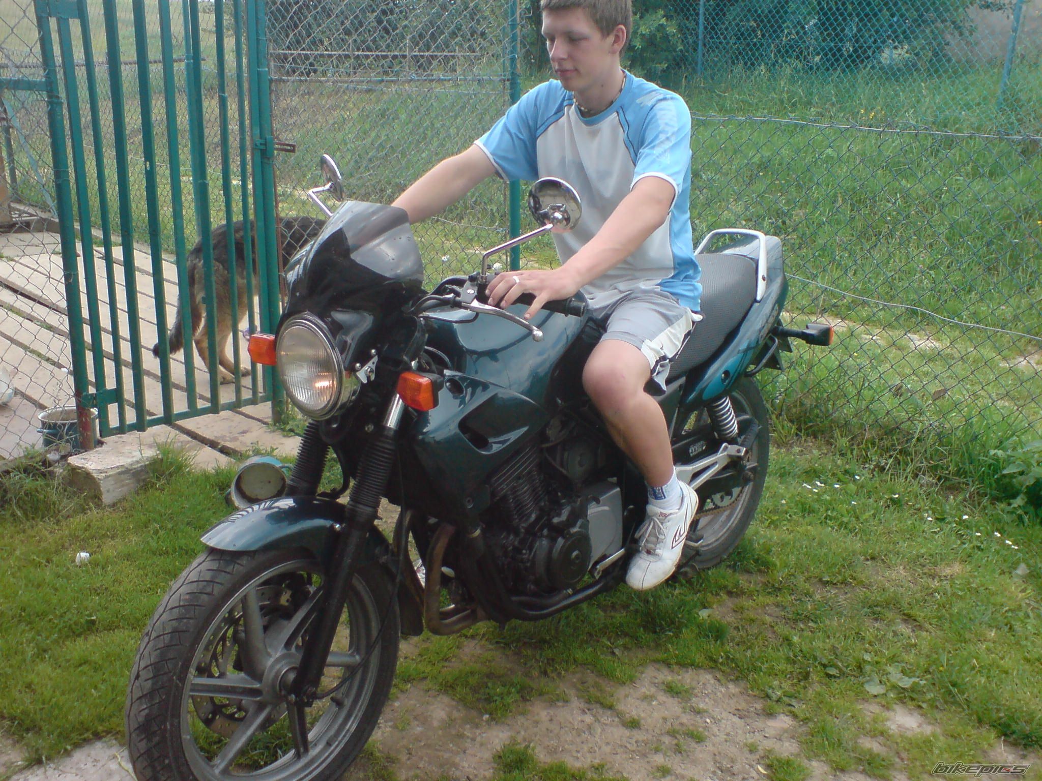 1995 HONDA CB 500 | Picture 2522516 motorcycle photo