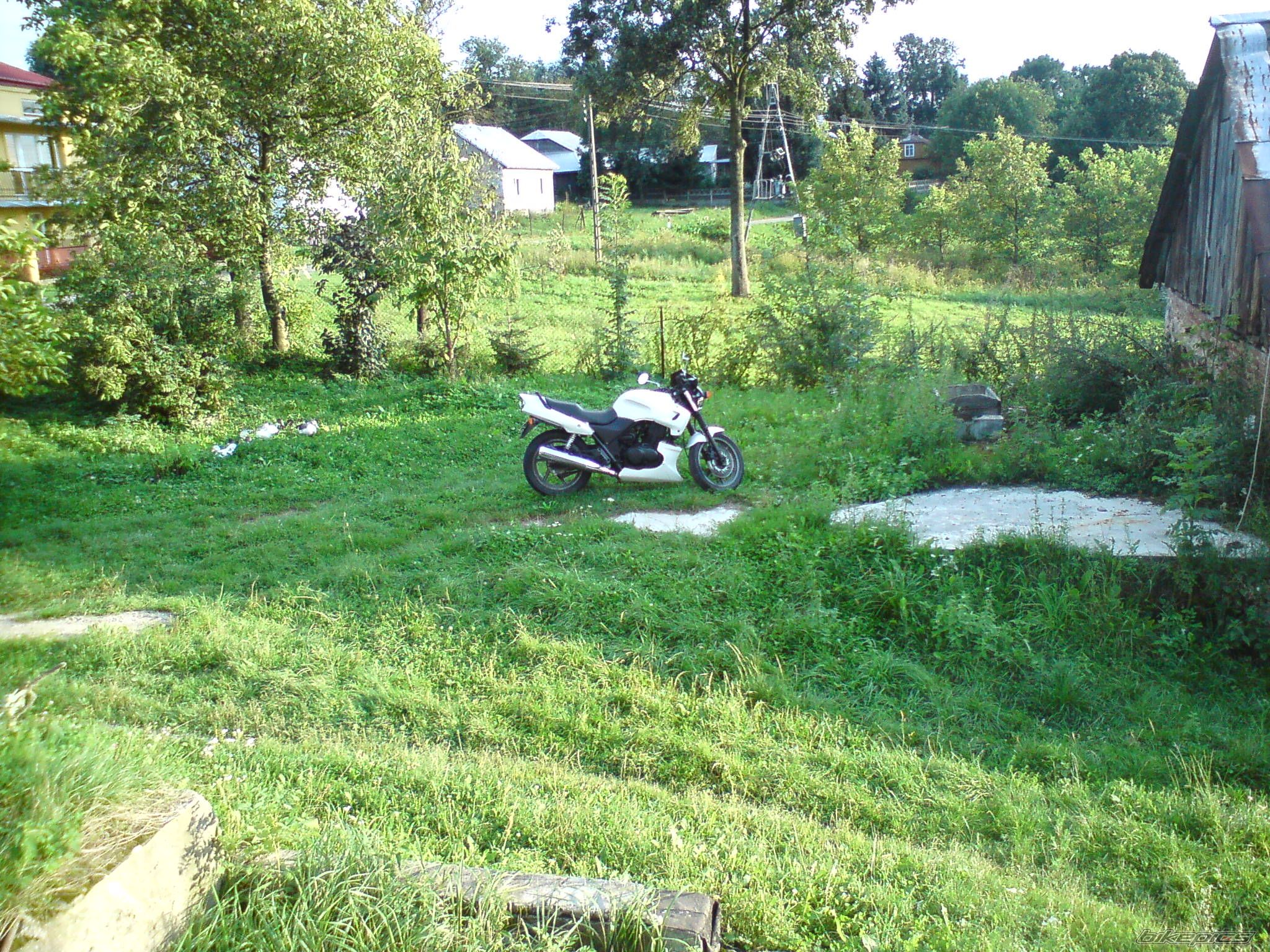 1995 HONDA CB 500 | Picture 2522517 motorcycle photo