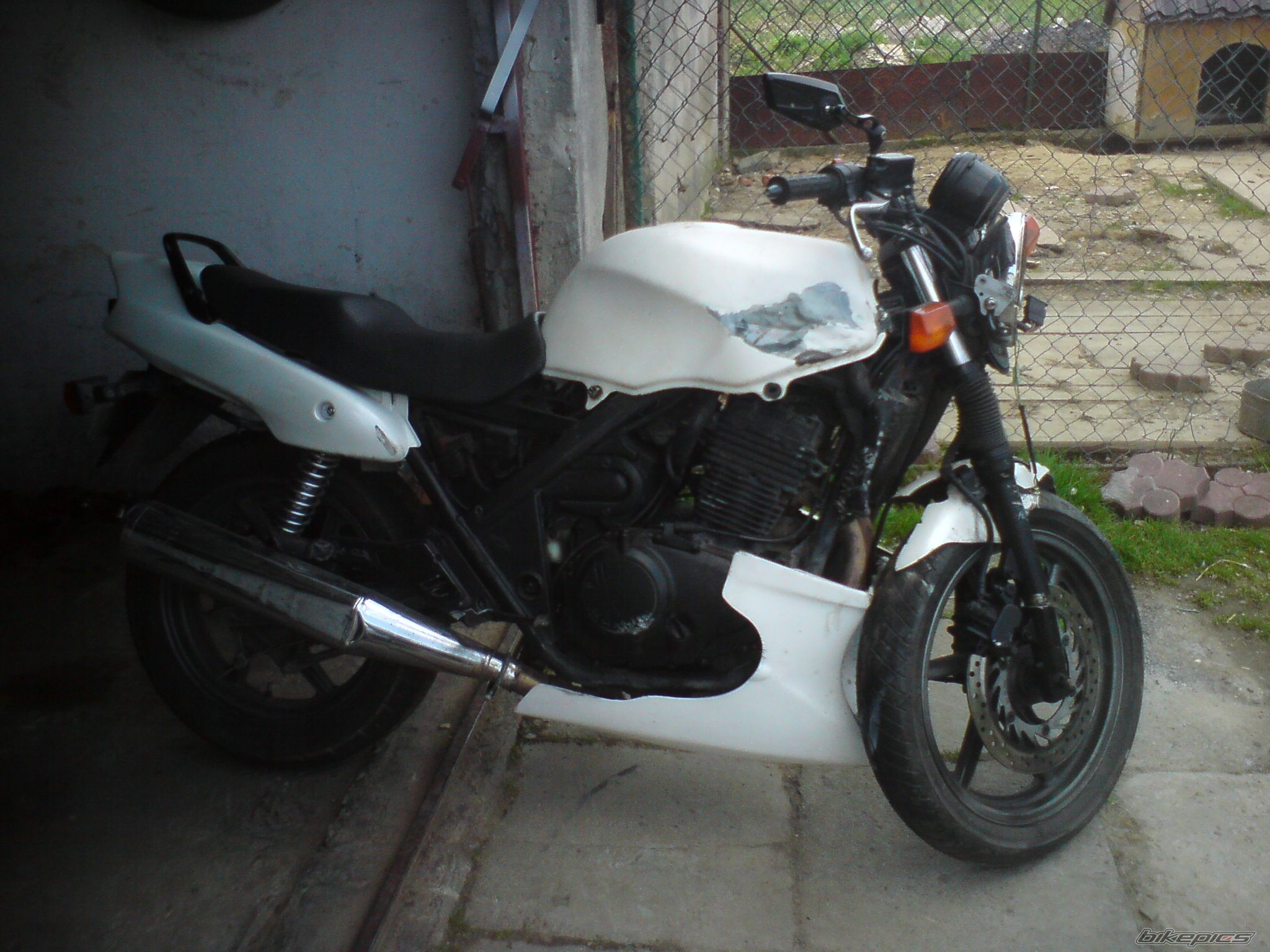 1995 HONDA CB 500 | Picture 2522529 motorcycle photo