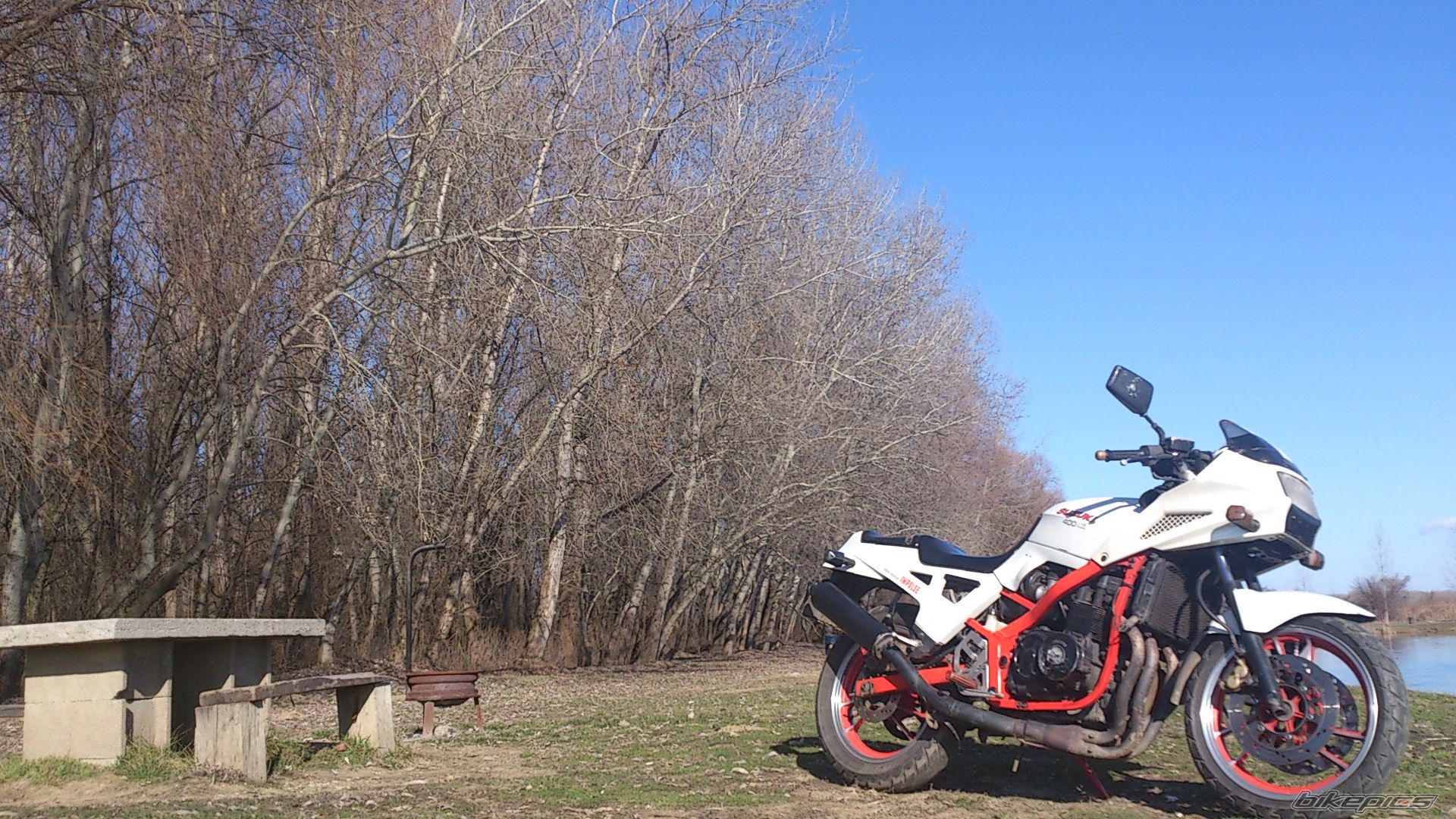 1986 SUZUKI GSX 400 X | Picture 2524018 motorcycle photo