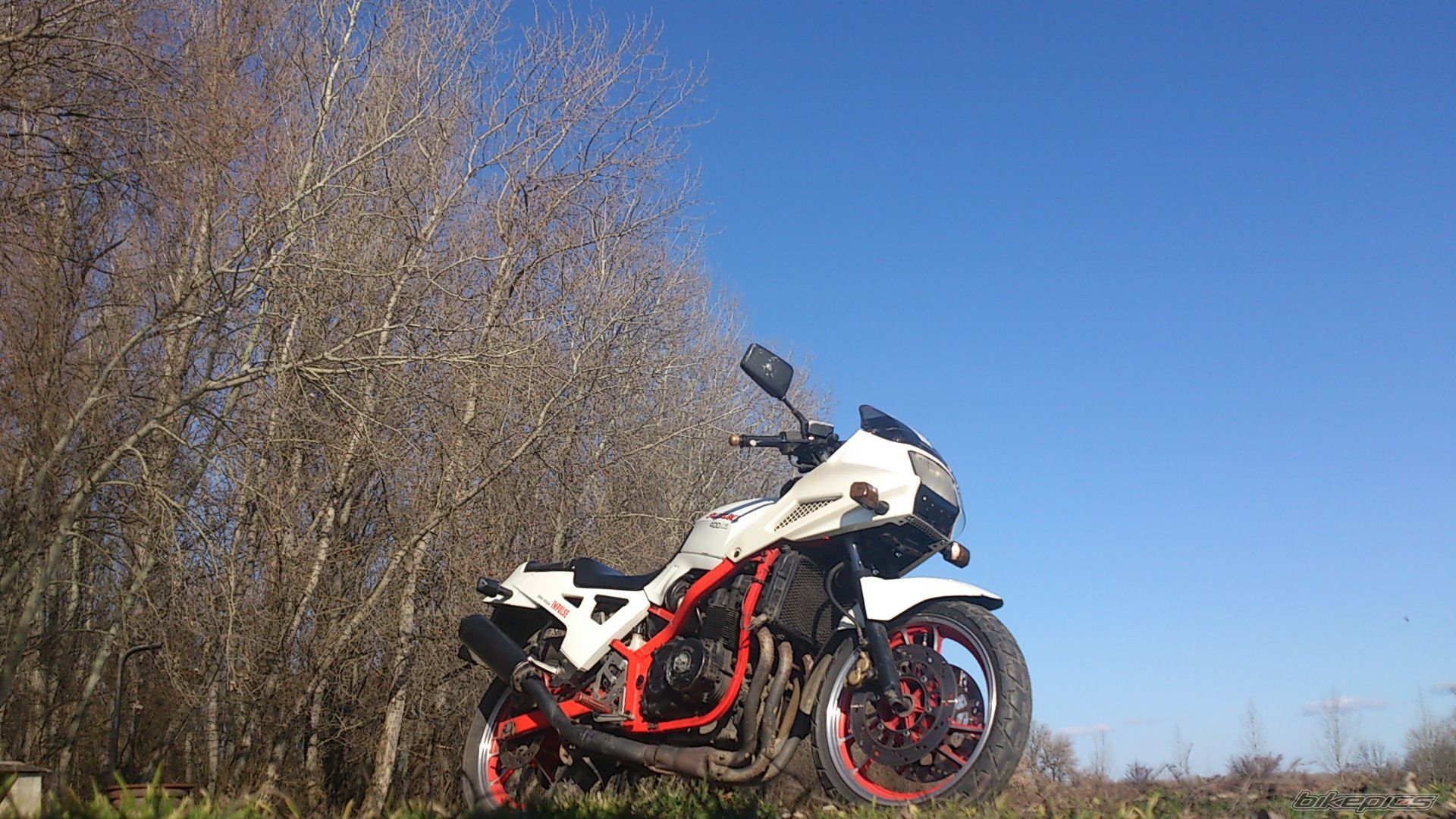 1986 SUZUKI GSX 400 X | Picture 2524020 motorcycle photo