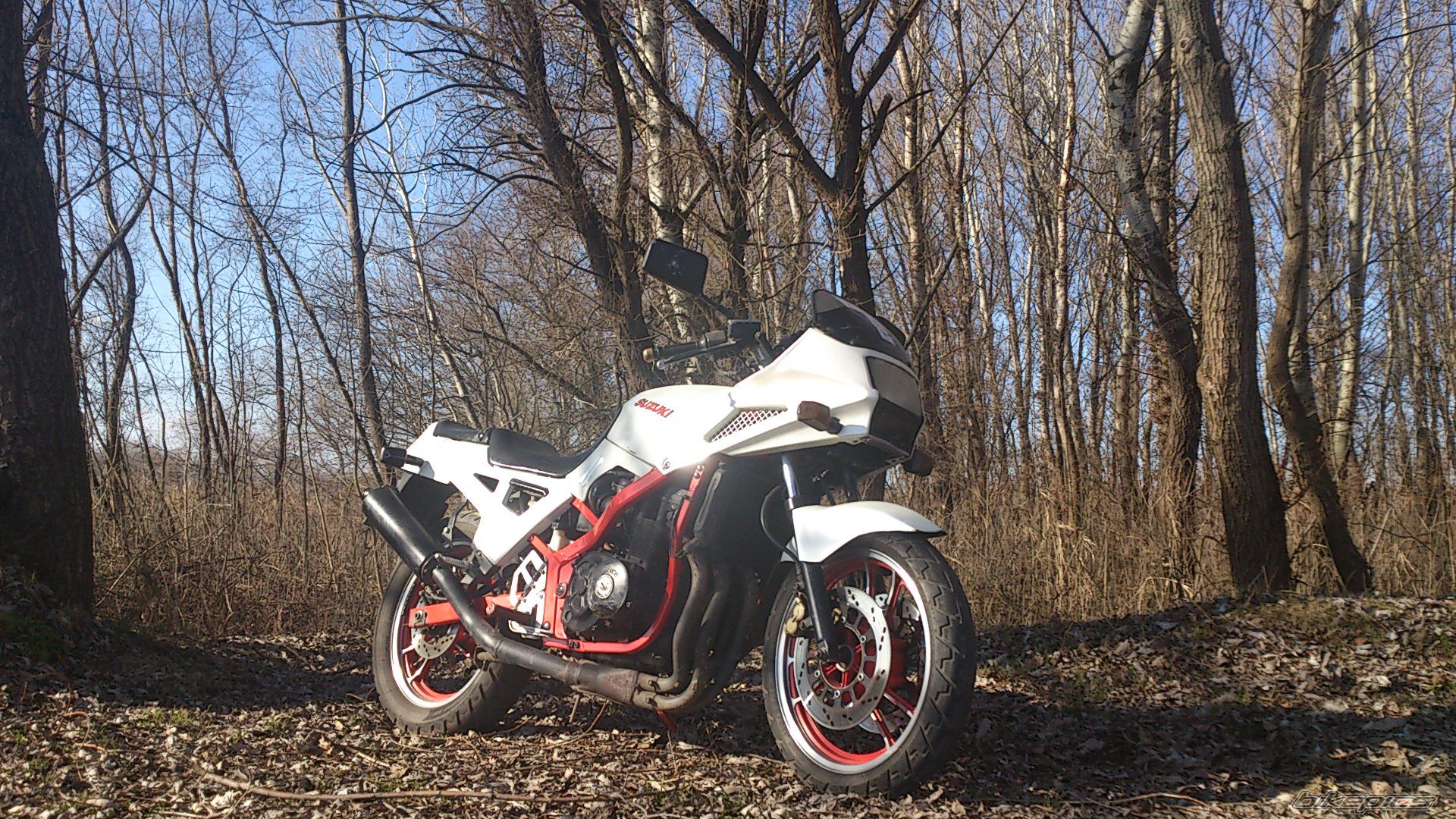 1986 SUZUKI GSX 400 X | Picture 2524022 motorcycle photo