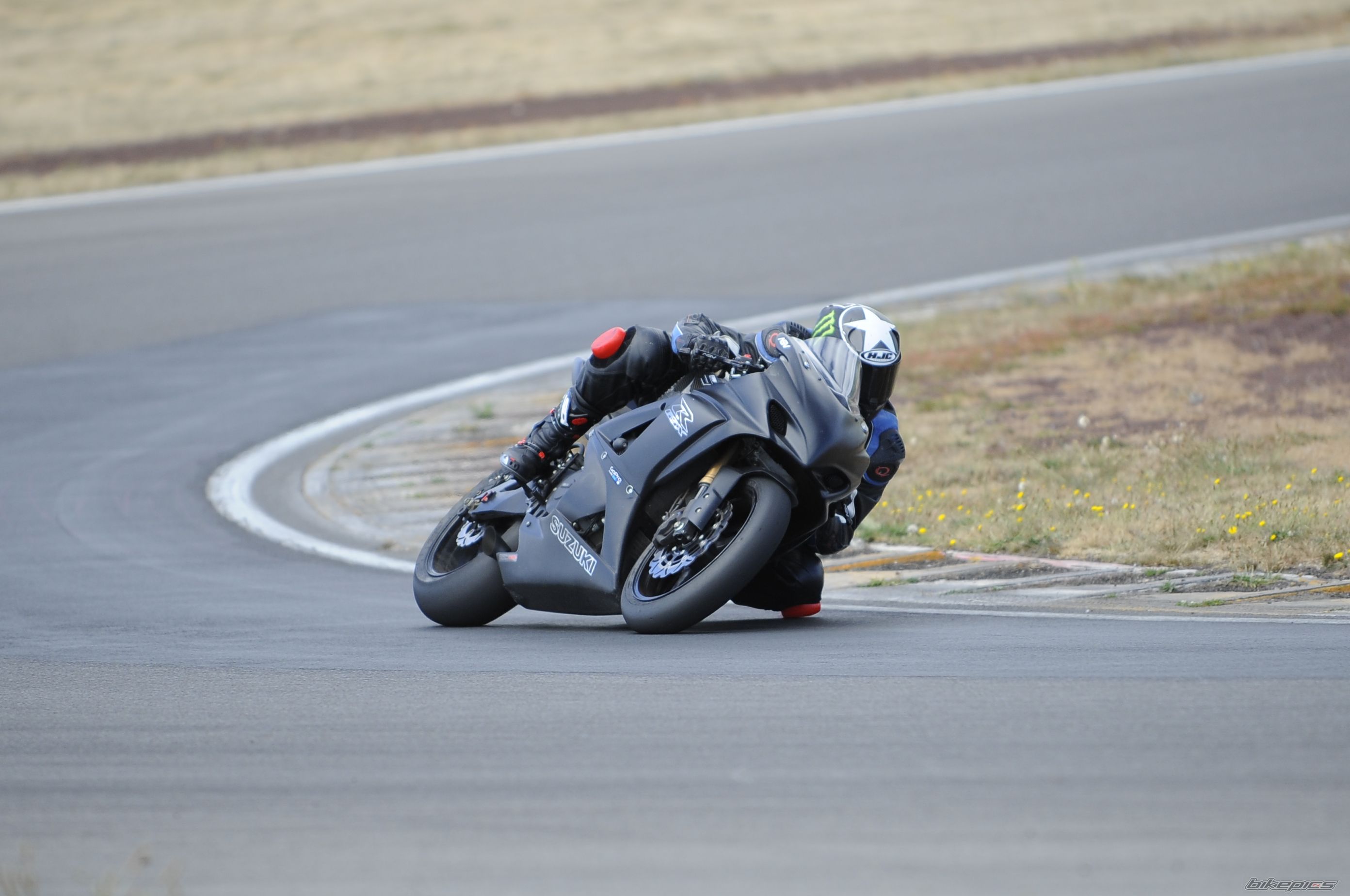 2007 SUZUKI GSX R 1000 | Picture 2524108 motorcycle photo