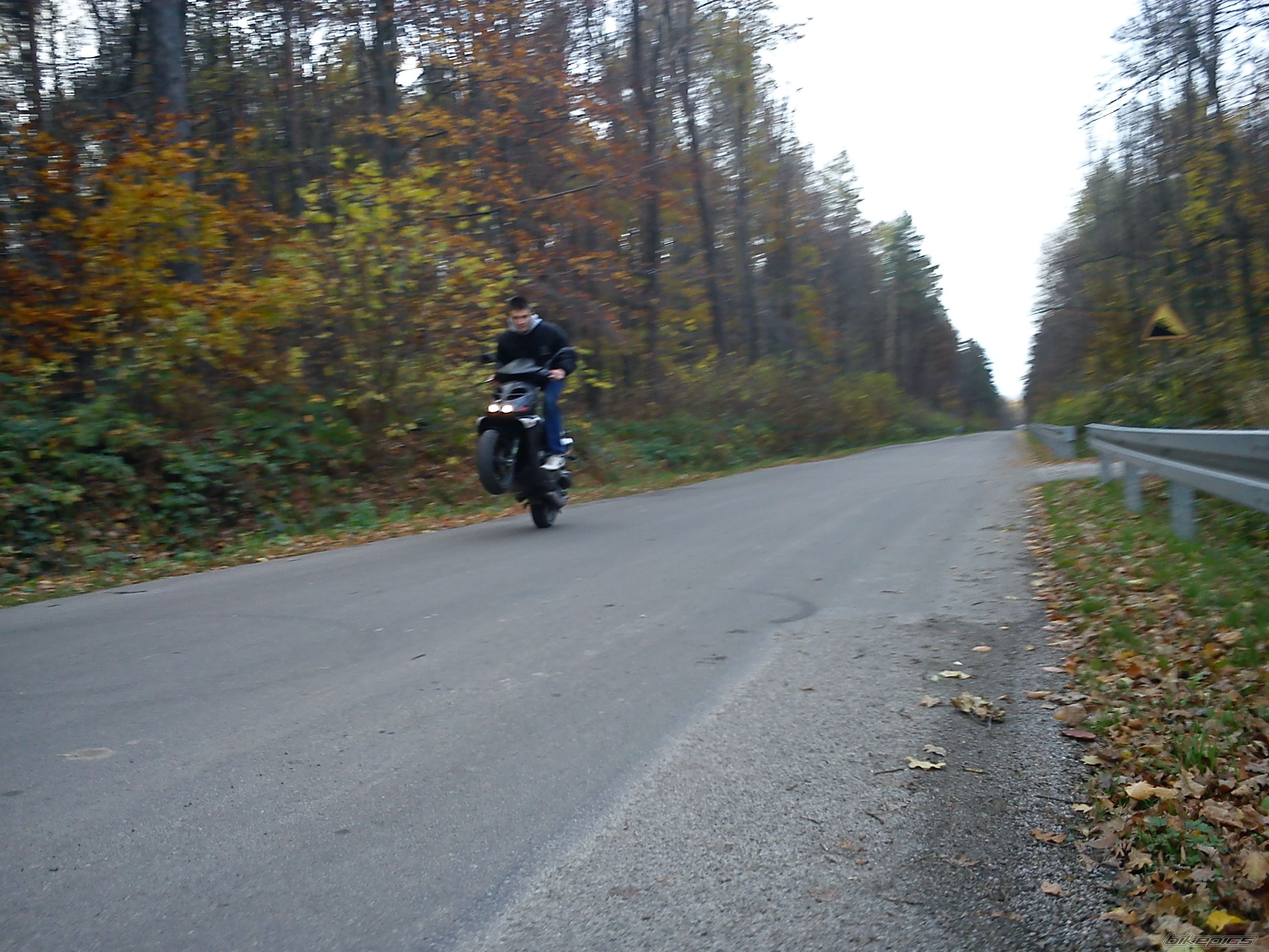 2007 APRILIA SR 50 | Picture 2524387 motorcycle photo