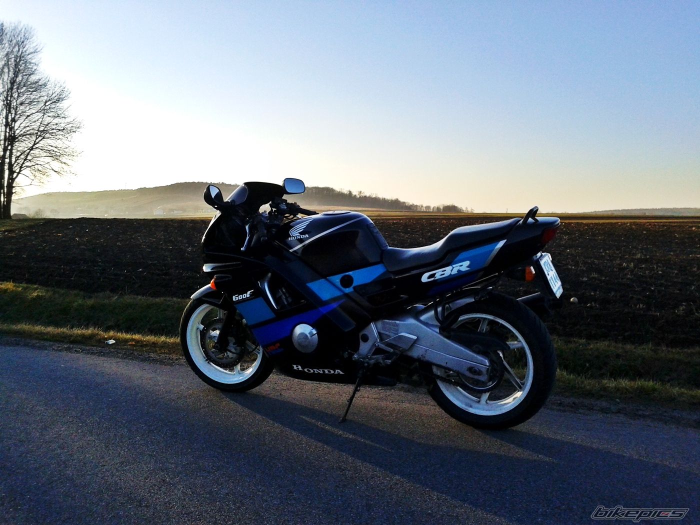 1991 HONDA CBR 600 | Picture 2524556 motorcycle photo
