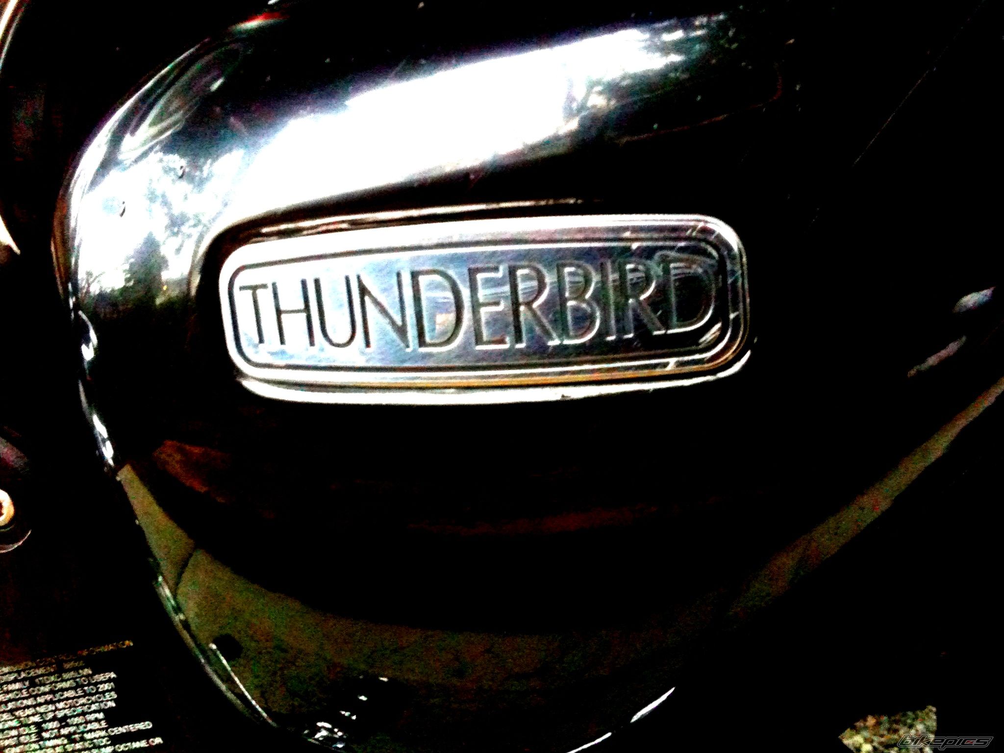 2001 TRIUMPH THUNDERBIRD | Picture 2524914 motorcycle photo