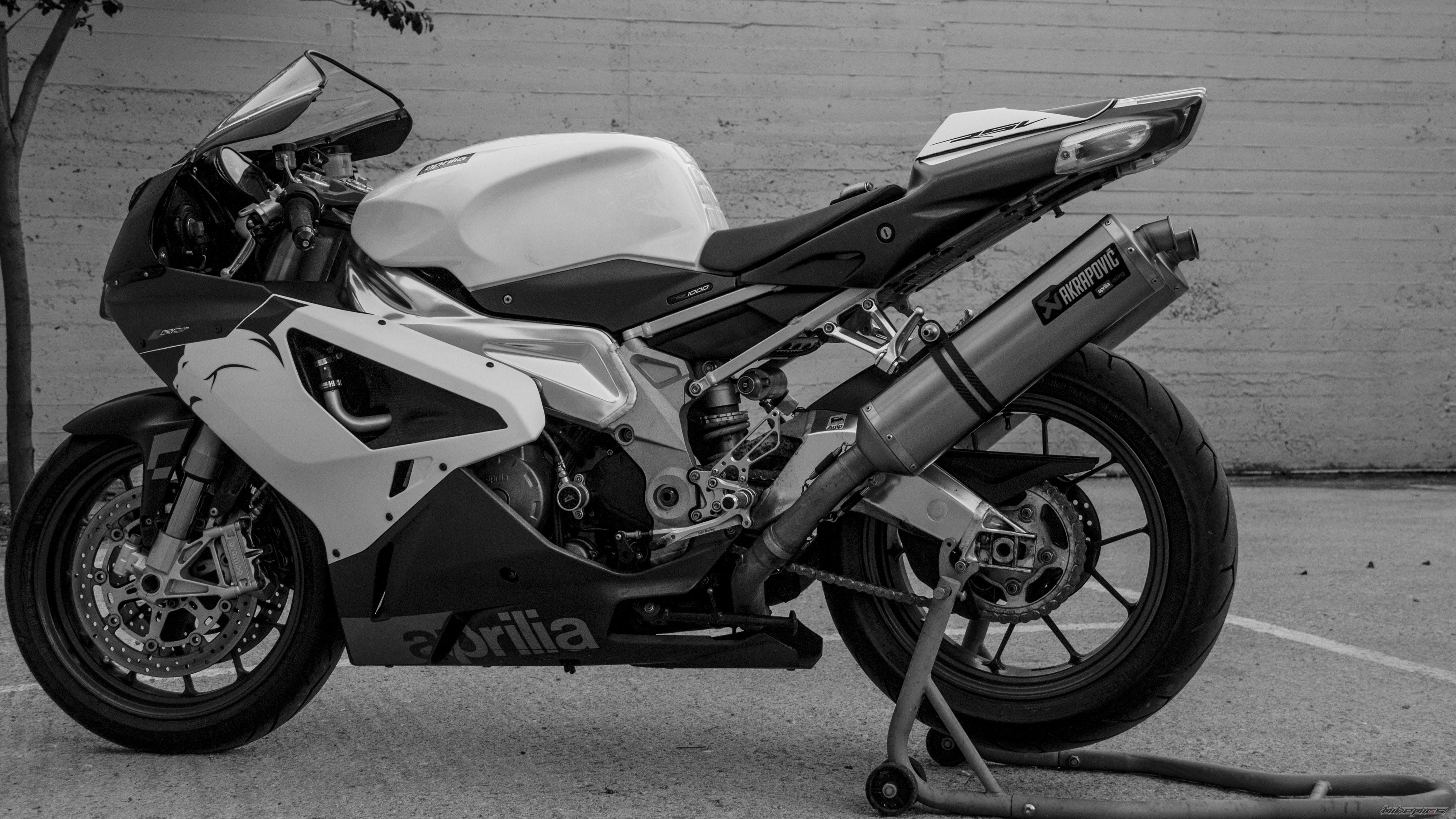 2006 APRILIA RSV 1000R MILLE | Picture 2525552 motorcycle photo