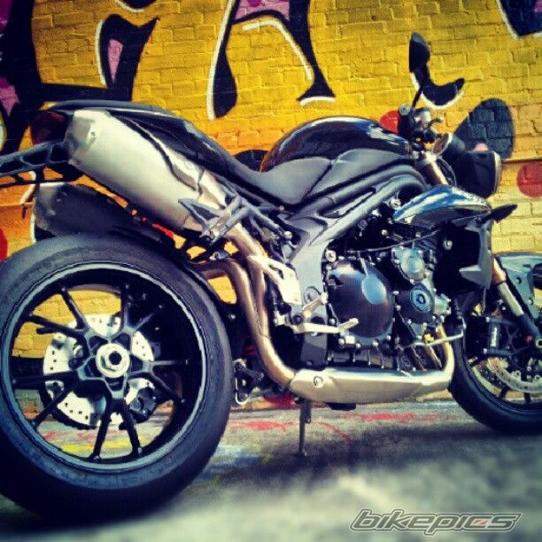 2011 TRIUMPH SPEED TRIPLE | Picture 2525853 motorcycle photo