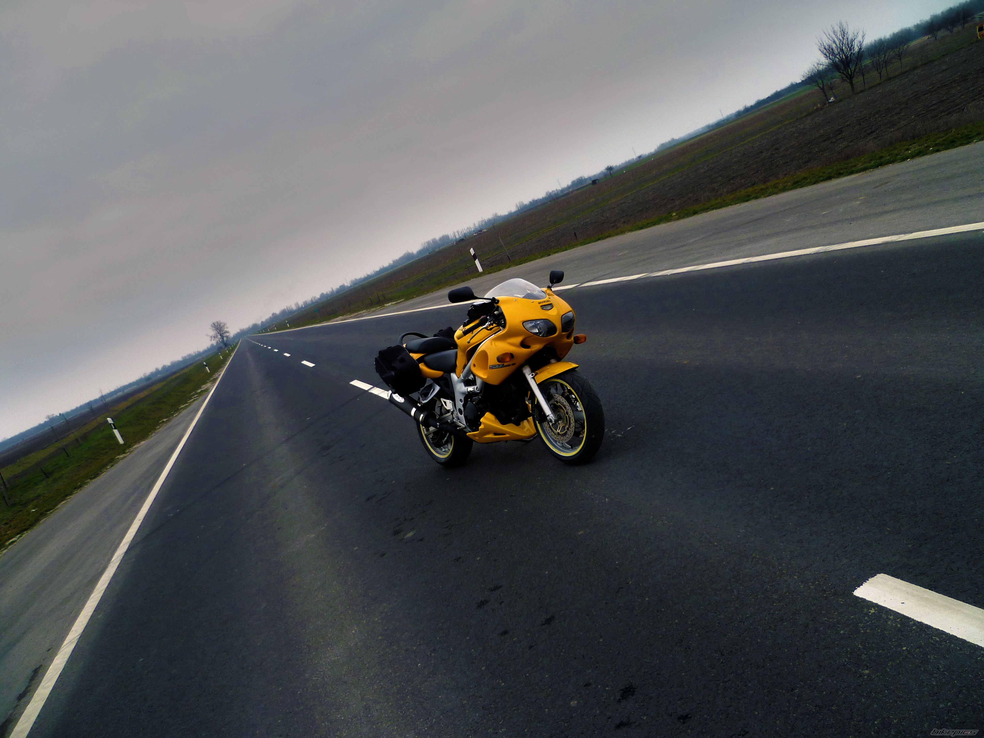 2002 SUZUKI SV 650S | Picture 2526030 motorcycle photo