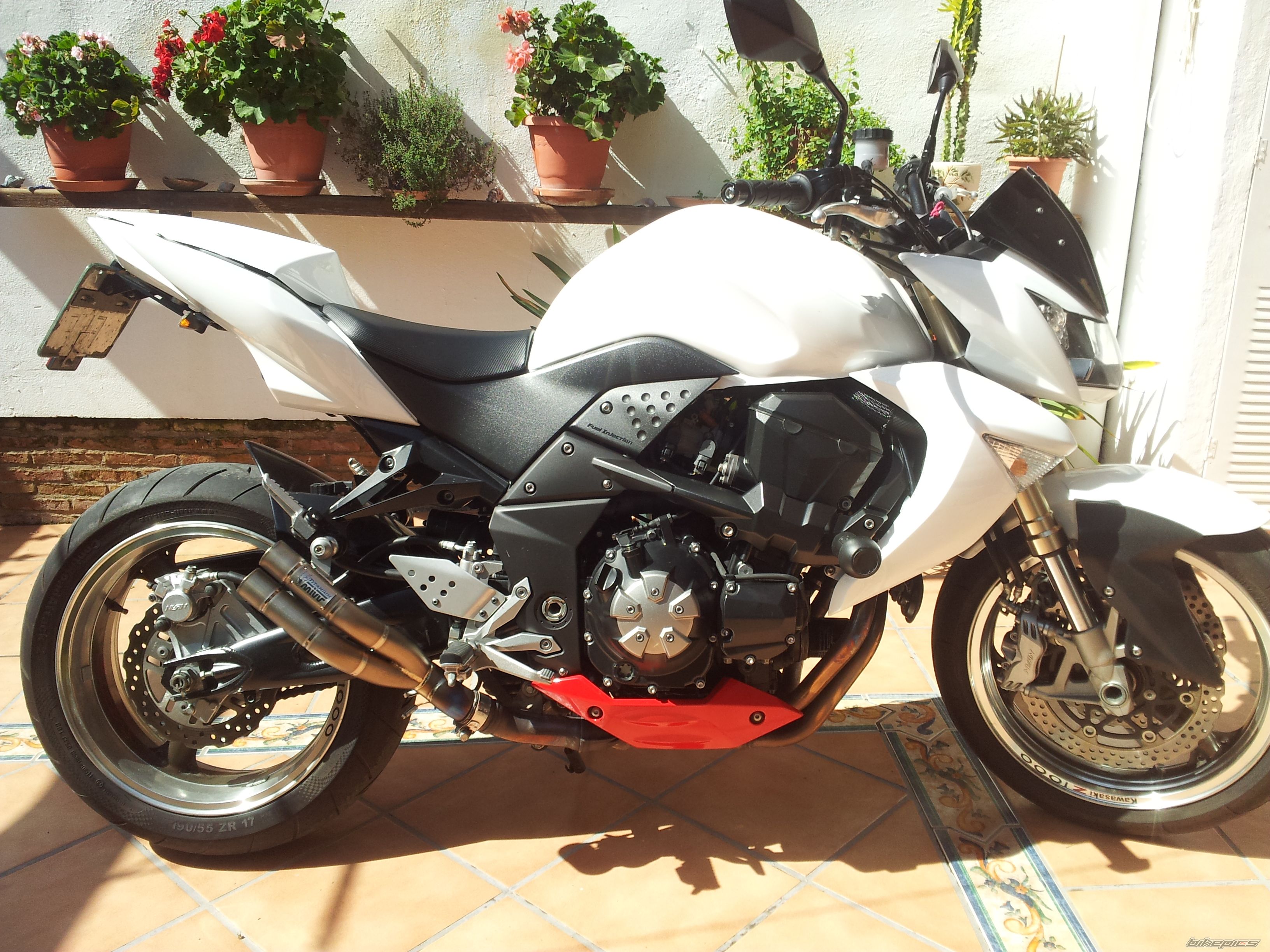 2007 KAWASAKI Z 1000 | Picture 2526837 motorcycle photo