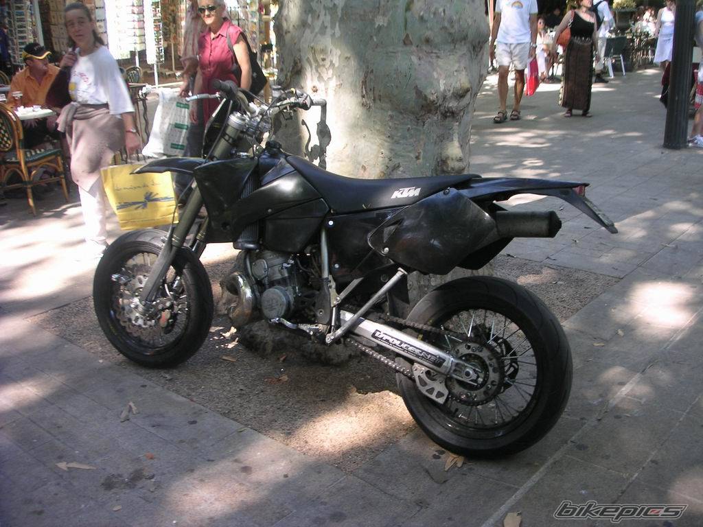 2003 KTM 300 EXC | Picture 252869 motorcycle photo