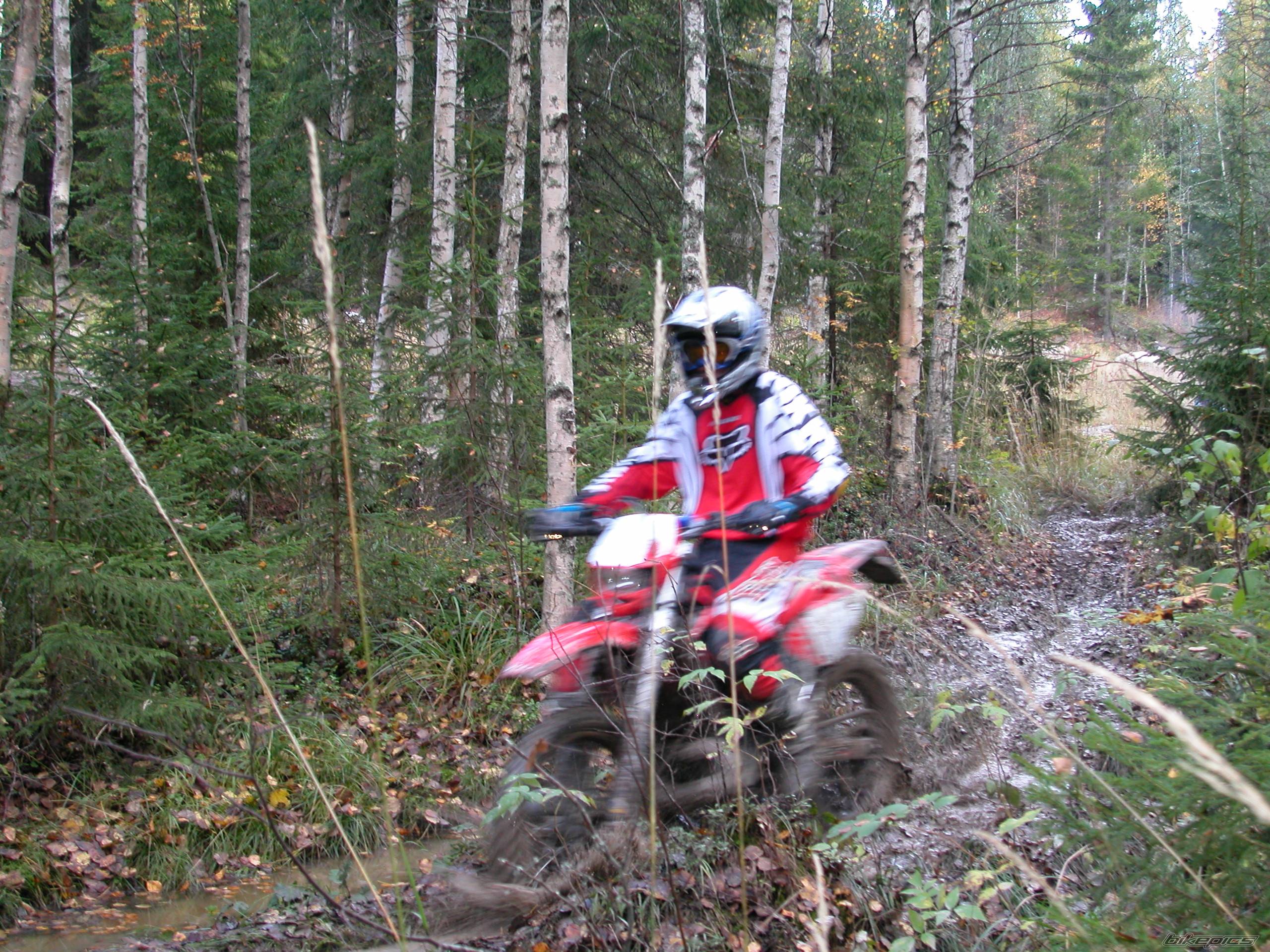 2003 GAS GAS EC 250 | Picture 252905 motorcycle photo