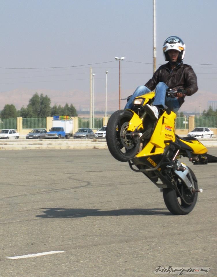 2009 HONDA CBR 1000  RR | Picture 2529185 motorcycle photo