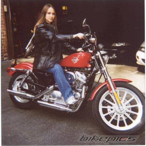 2002 HARLEY DAVIDSON XLH 883 HUGGER | Picture 25299 motorcycle photo