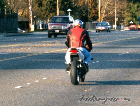 1997 HONDA CBR 600 | Picture 253 motorcycle photo