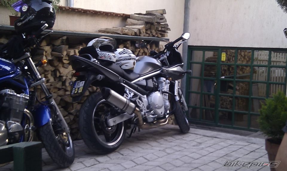 2008 SUZUKI BANDIT 650 | Picture 2530019 motorcycle photo