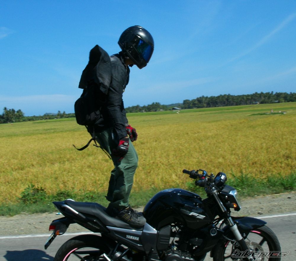 2012 YAMAHA FZ16 | Picture 2530127 motorcycle photo