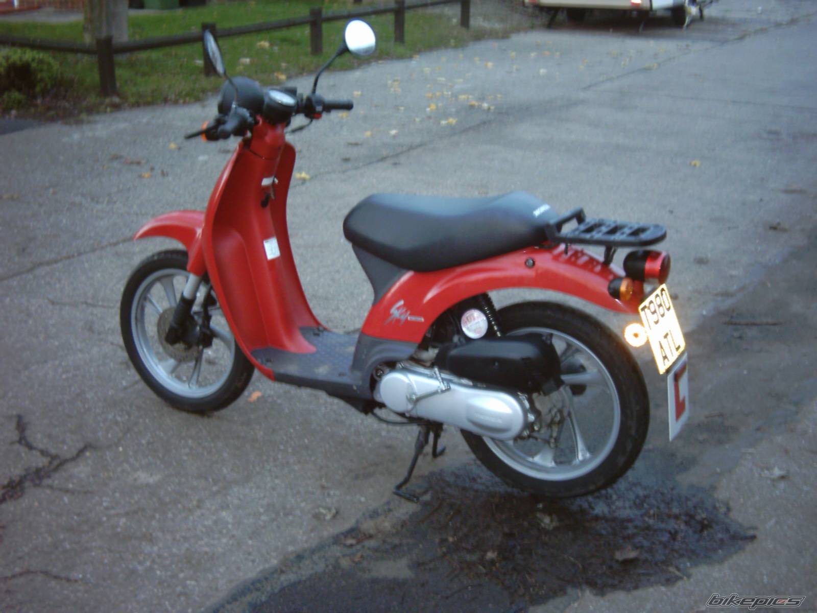 1999 HONDA SKY 50 | Picture 253028 motorcycle photo