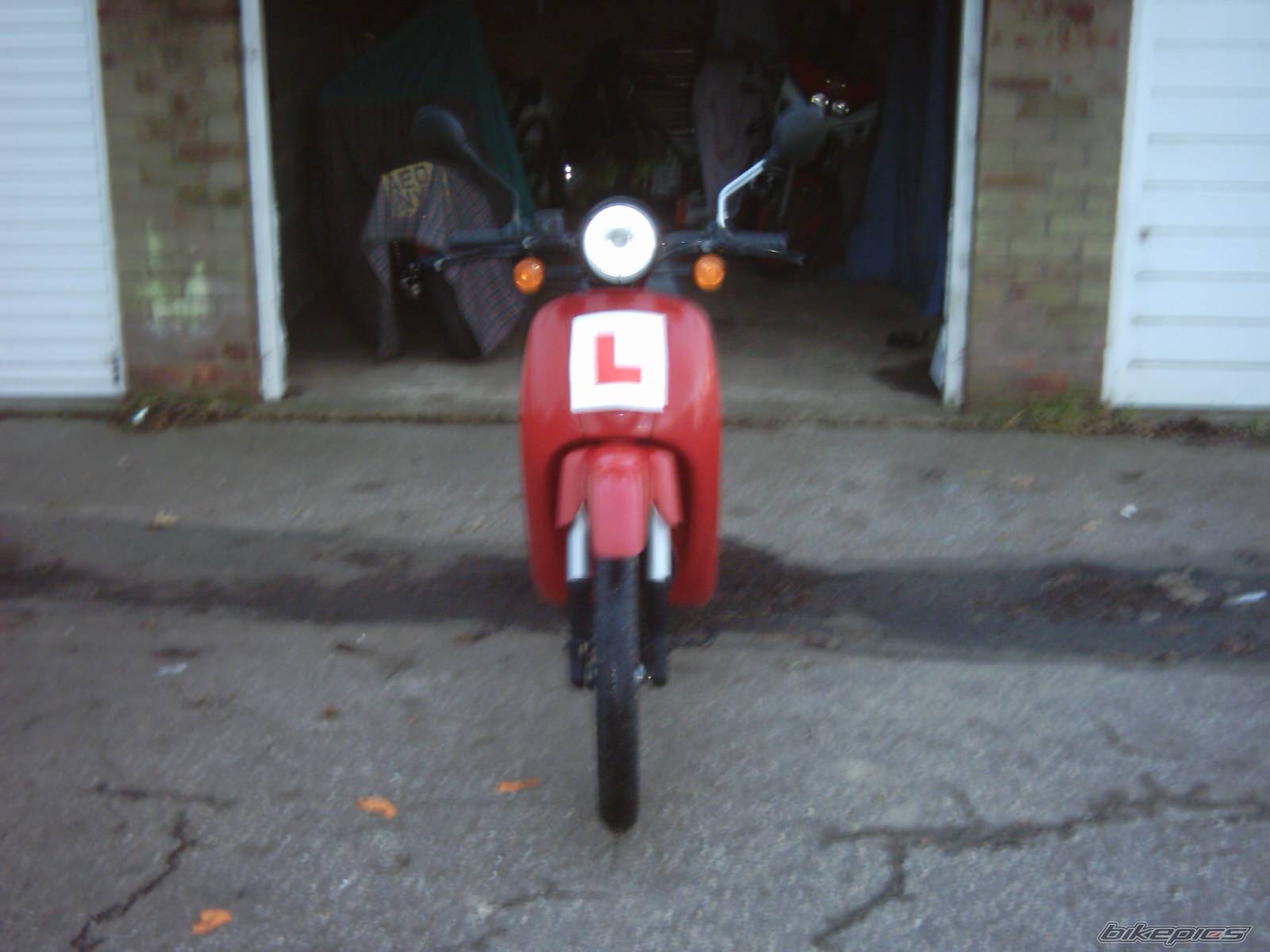 1999 HONDA SKY 50 | Picture 253029 motorcycle photo