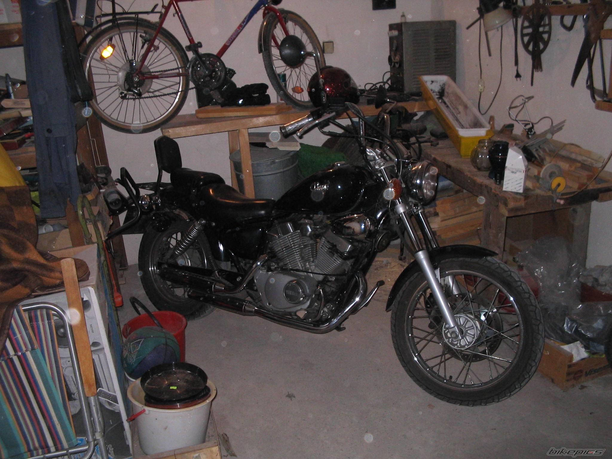 1998 YAMAHA VIRAGO 250 | Picture 253030 motorcycle photo