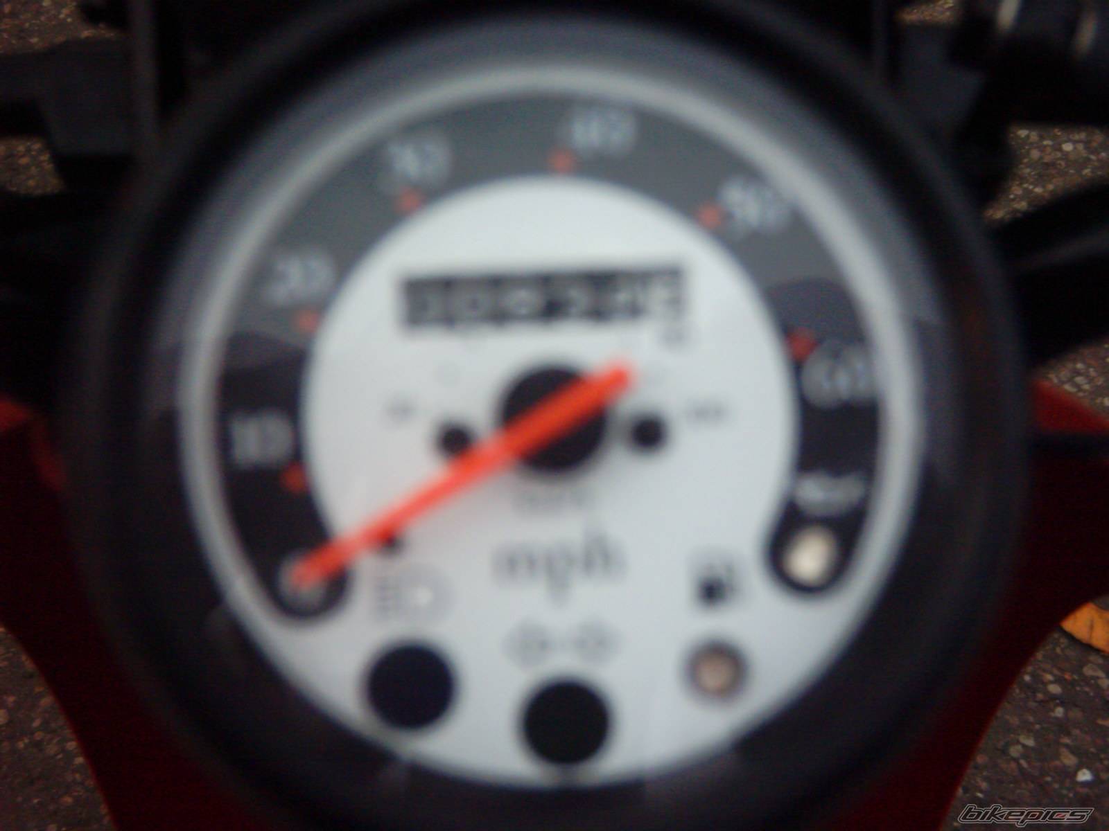 1999 HONDA SKY 50 | Picture 253031 motorcycle photo