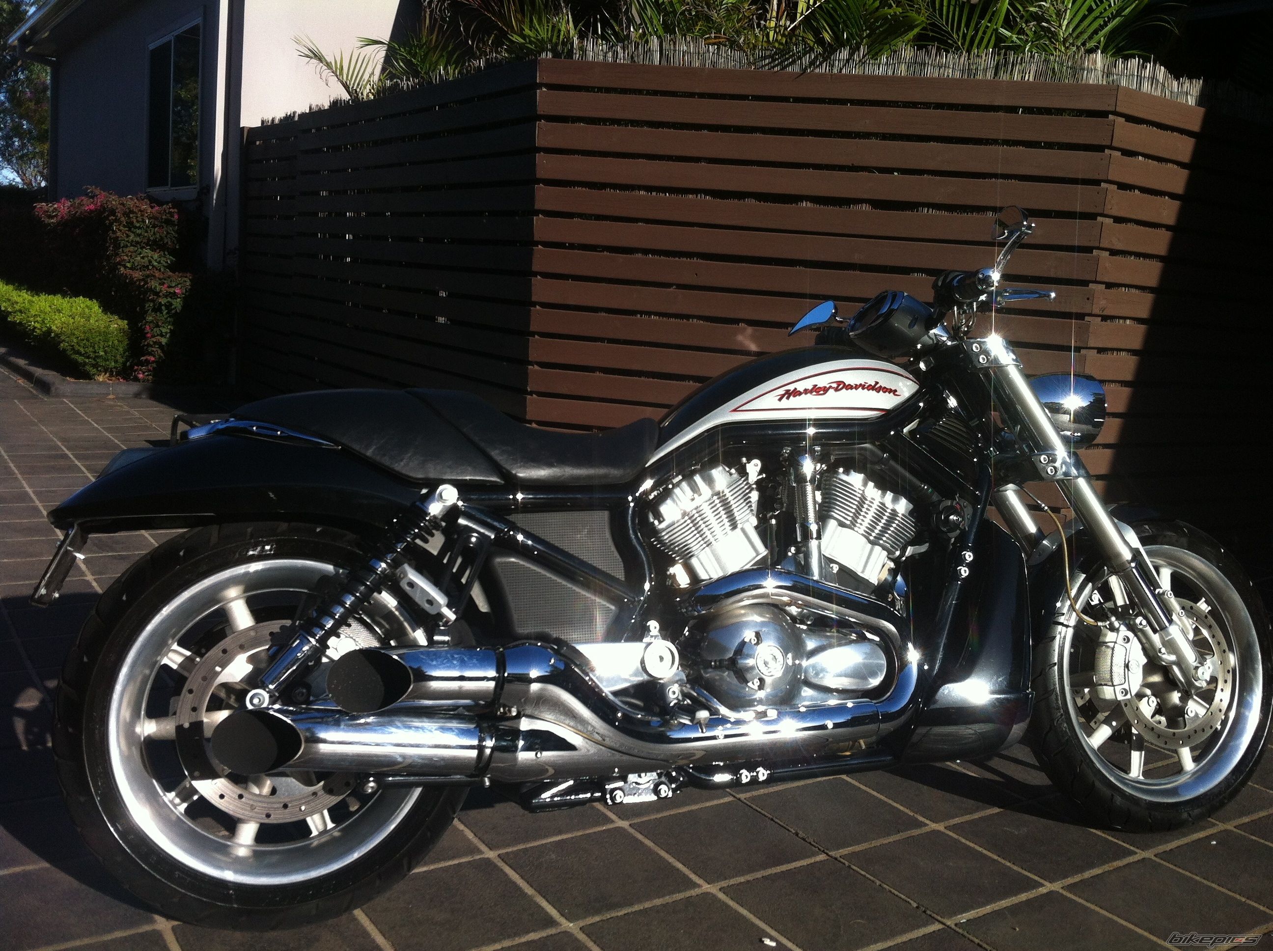 2006 HARLEY DAVIDSON VRSCR STREET ROD | Picture 2530406 motorcycle photo