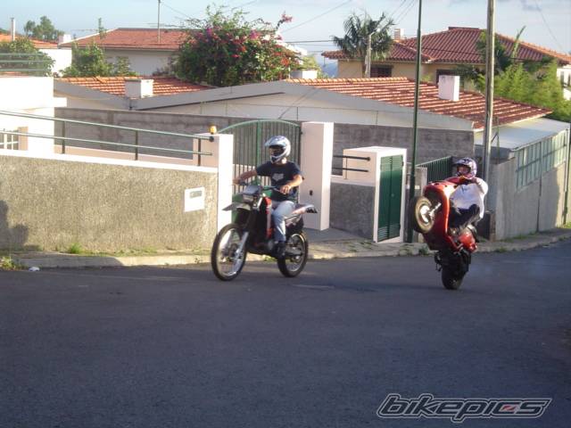 1998 PIAGGIO NTT 50 | Picture 253144 motorcycle photo