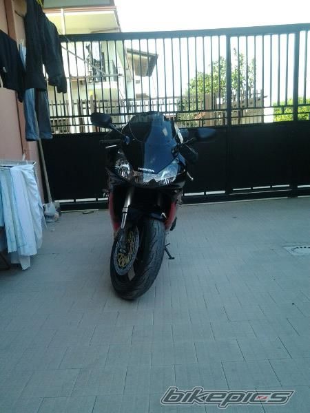 2003 HONDA CBR 954RR FIREBLADE | Picture 2531857 motorcycle photo