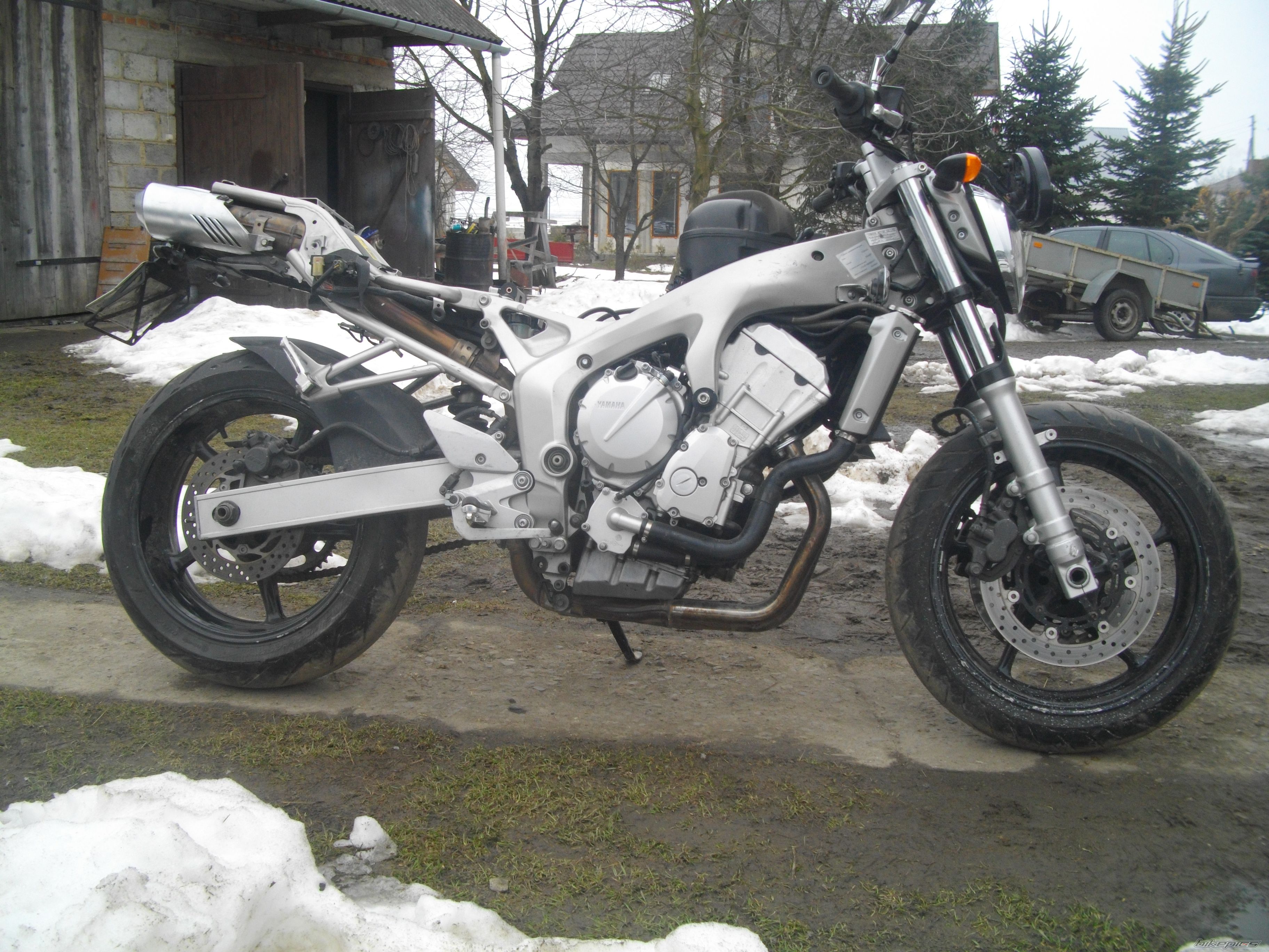 2004 YAMAHA FZ6 | Picture 2531880 motorcycle photo