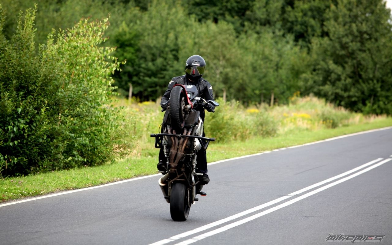 1999 HONDA CBR 600 F4 | Picture 2532012 motorcycle photo