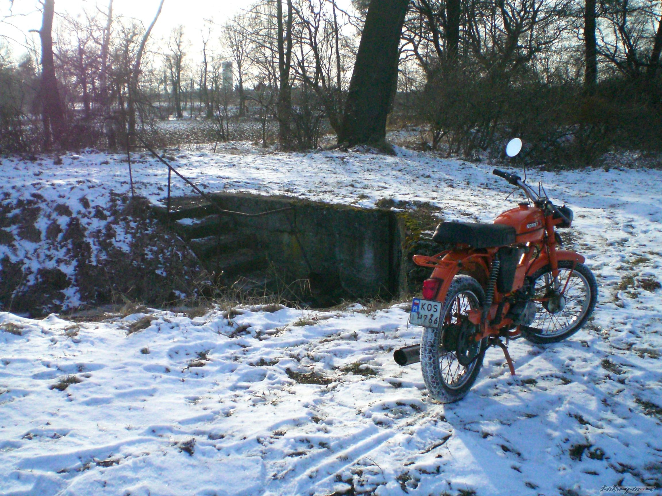    | Picture 2533278 motorcycle photo