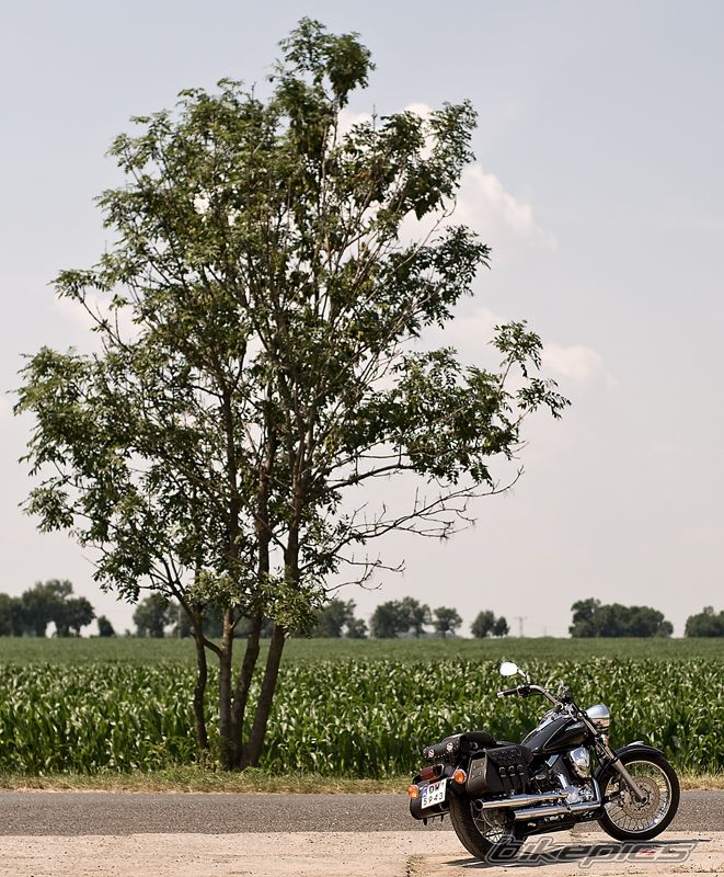 2001 YAMAHA DRAGSTAR 125 | Picture 2534919 motorcycle photo