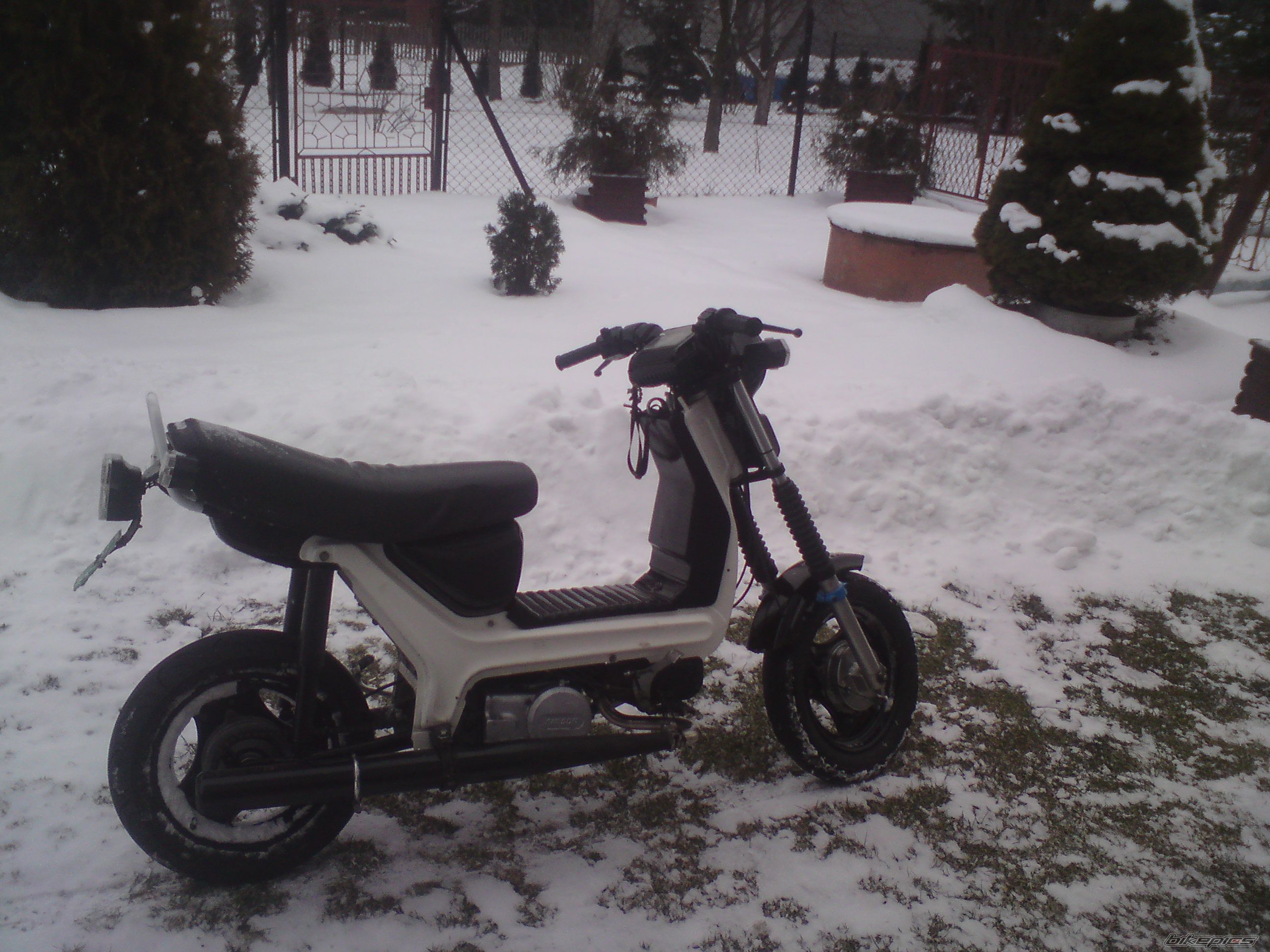 1991 SIMSON SR 60 | Picture 2536410 motorcycle photo