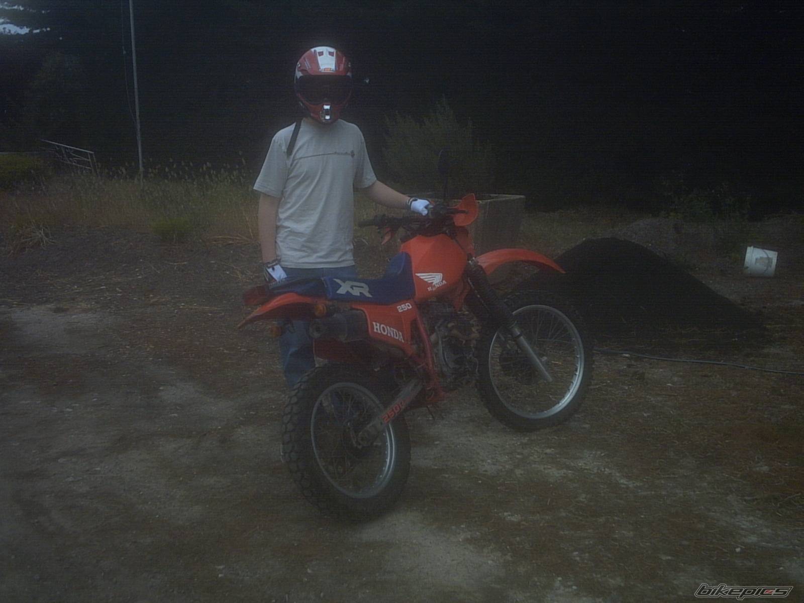1984 HONDA XR 250 | Picture 253645 motorcycle photo