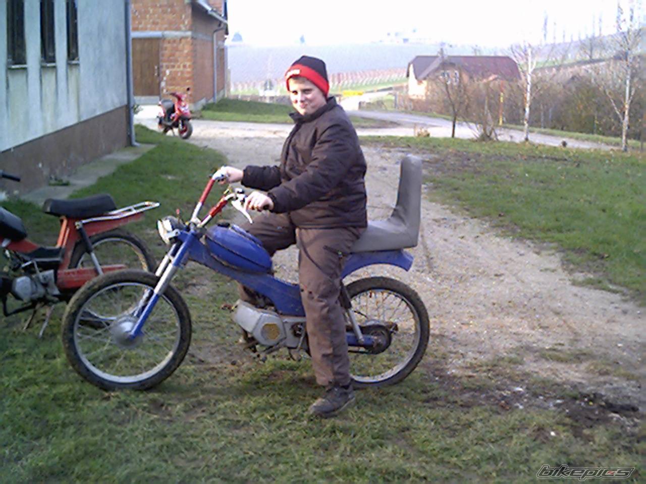 1979 TOMOS APN 6 | Picture 253656 motorcycle photo