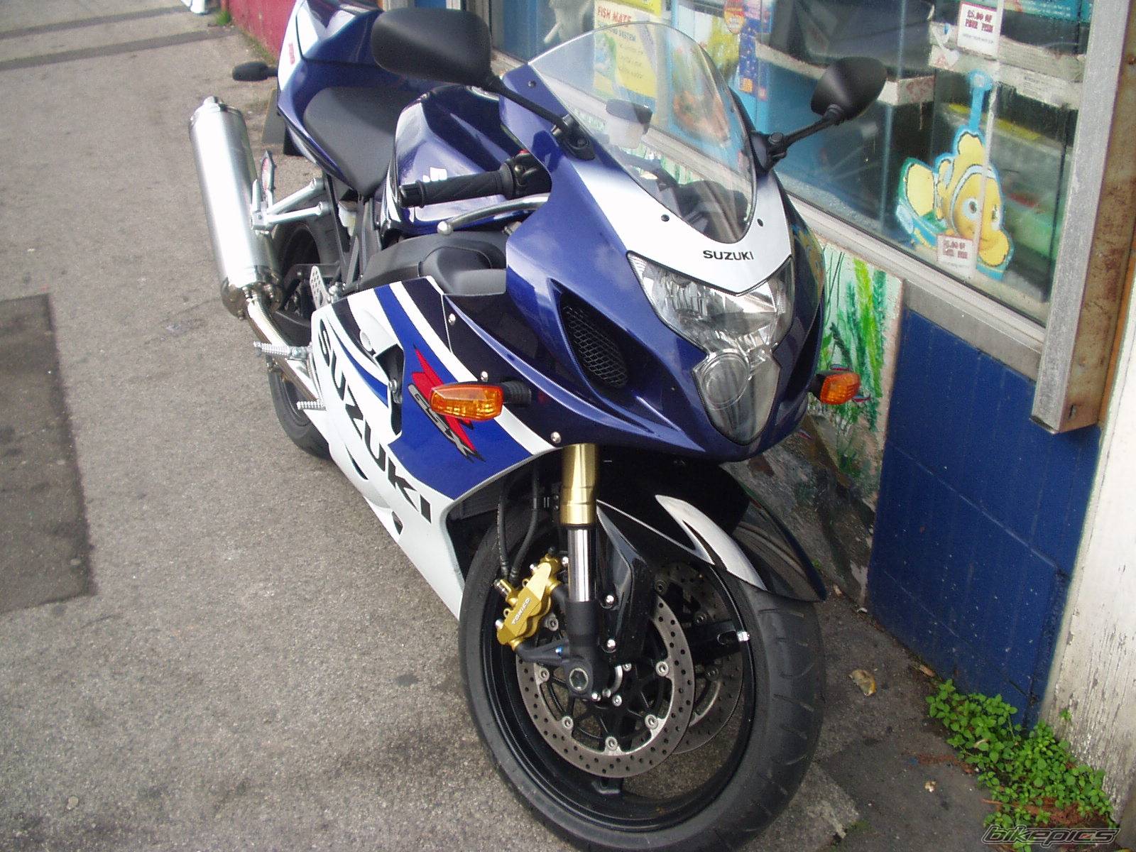 2005 SUZUKI GSX R 750 | Picture 253695 motorcycle photo