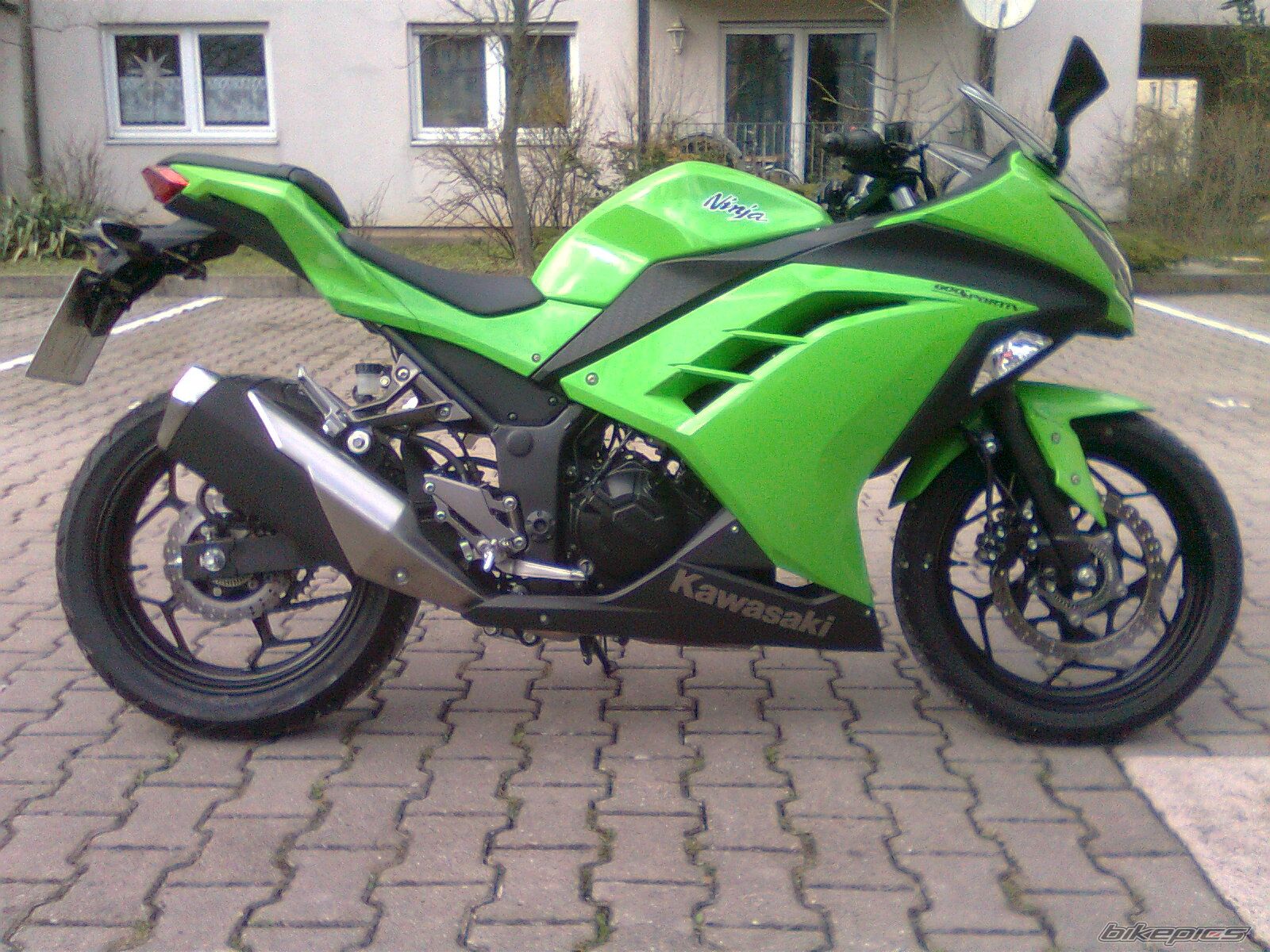 2013 KAWASAKI NINJA 300 | Picture 2537155 motorcycle photo