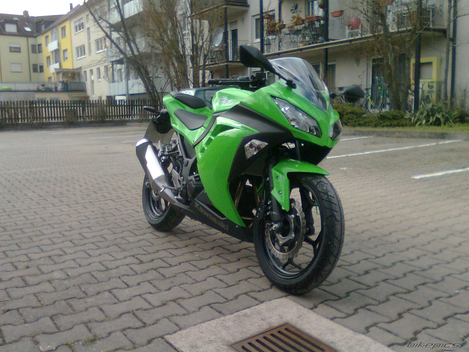 2013 KAWASAKI NINJA 300 | Picture 2537156 motorcycle photo