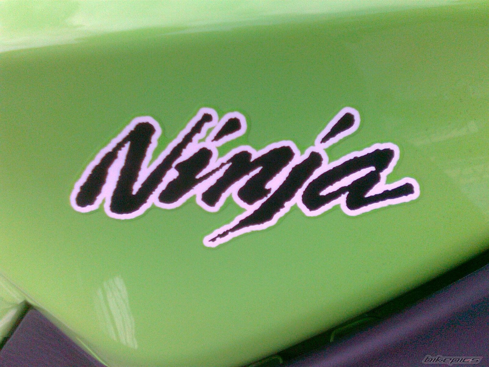 2013 KAWASAKI NINJA 300 | Picture 2537158 motorcycle photo