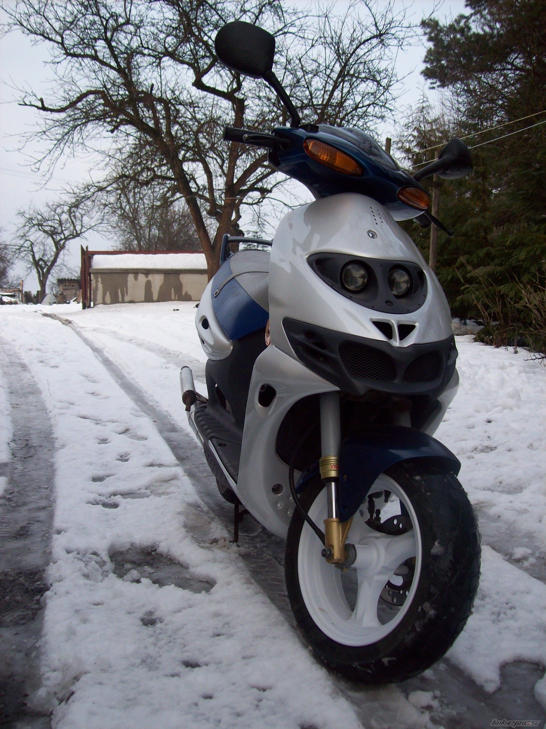 1999 SUZUKI AY 50 | Picture 2537221 motorcycle photo