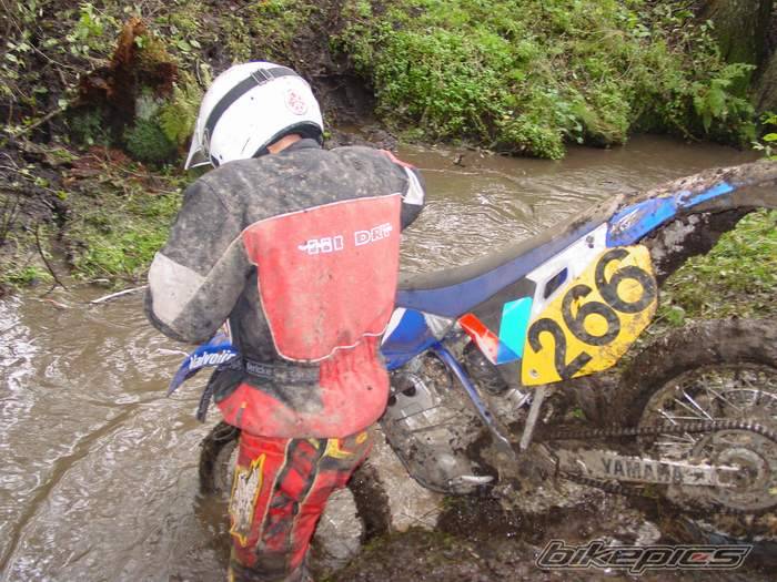 2004 YAMAHA YZ 250F | Picture 253756 motorcycle photo