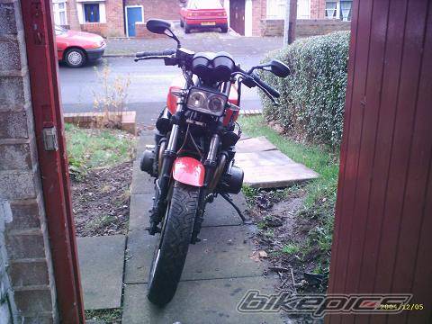 1984 KAWASAKI GPZ 1100 | Picture 253800 motorcycle photo