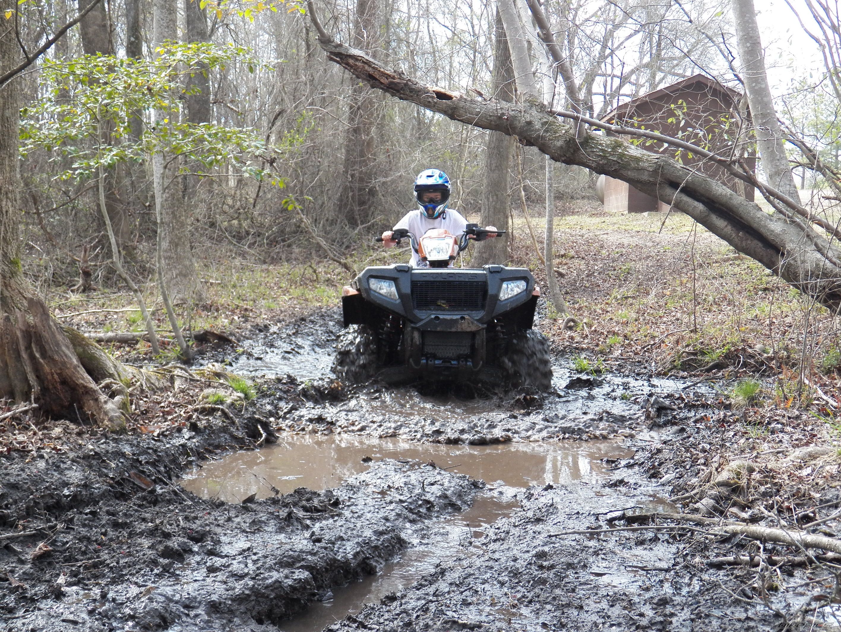 2005 POLARIS SPORTSMAN 800 TWIN EFI | Picture 2538183 motorcycle photo