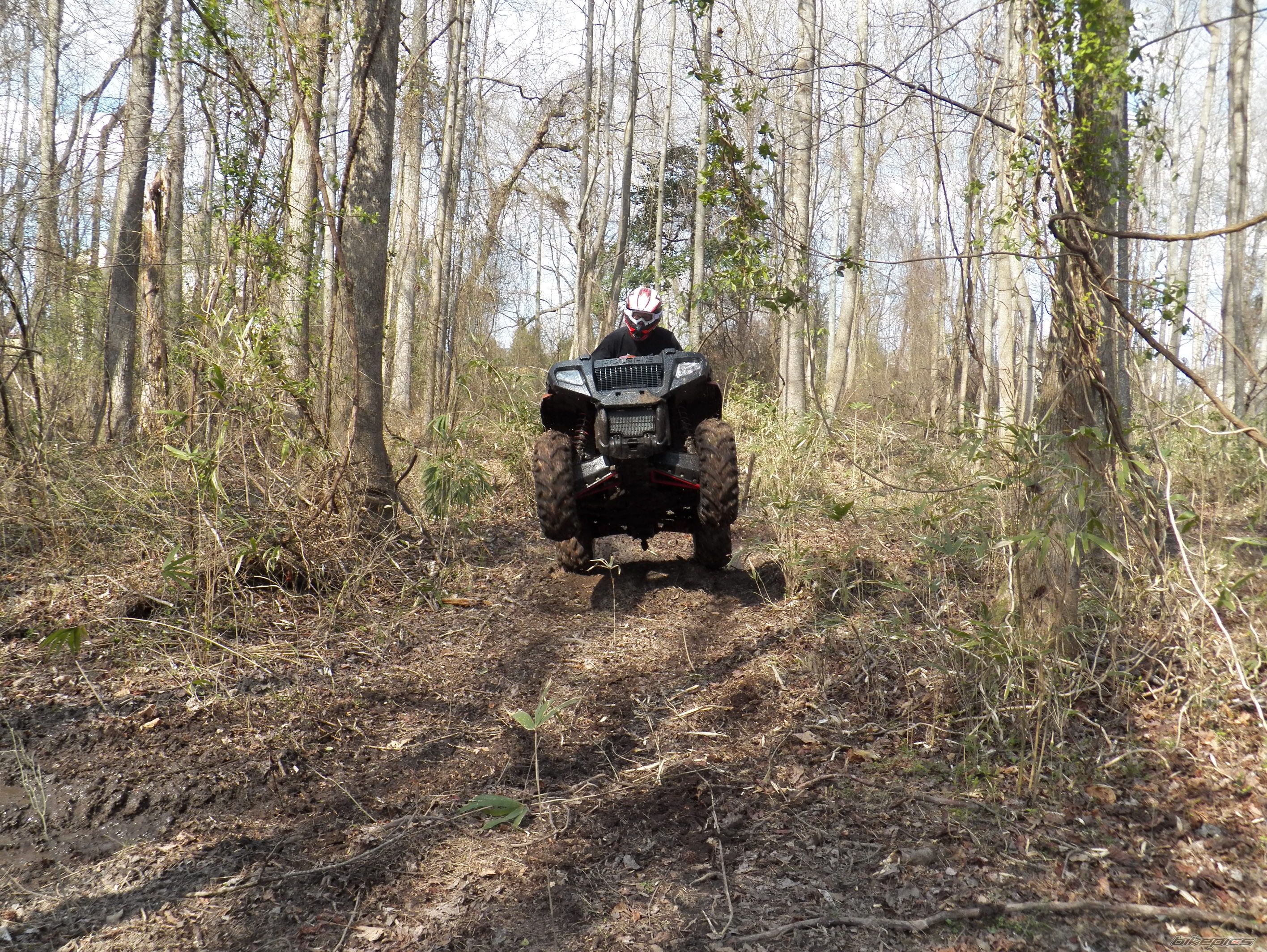 2005 POLARIS SPORTSMAN 800 TWIN EFI | Picture 2538184 motorcycle photo