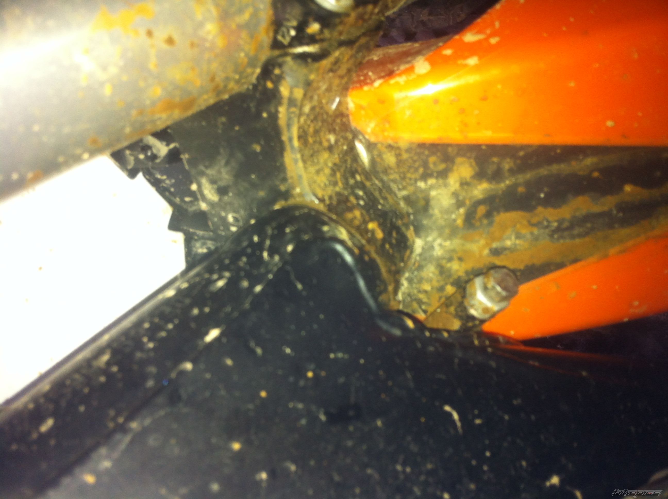2009 KTM 250 SX | Picture 2538240 motorcycle photo