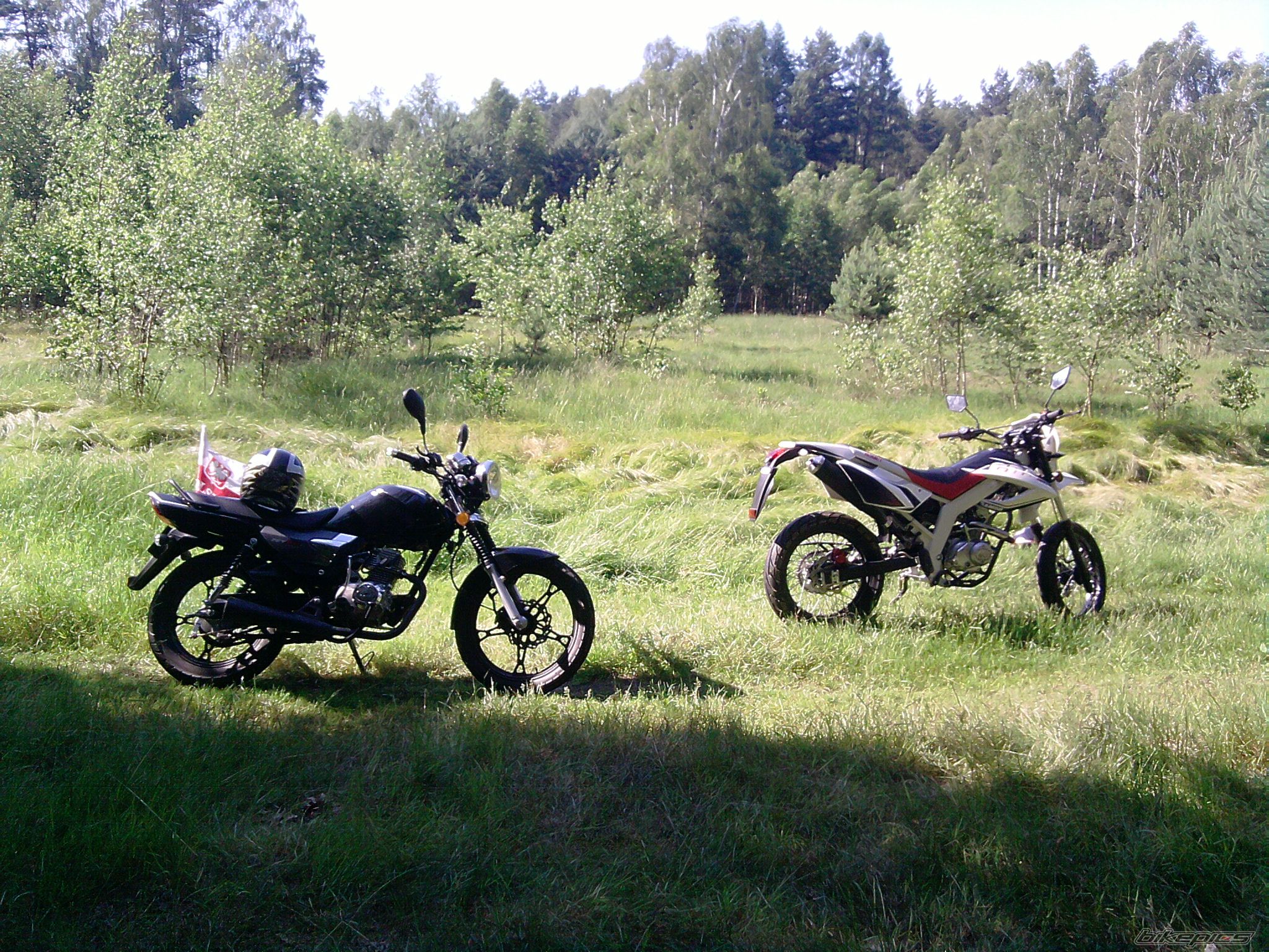 2011 ROMET ZETKA | Picture 2539082 motorcycle photo