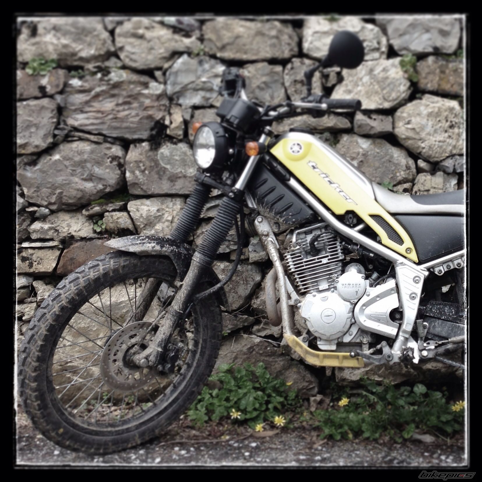 2005 YAMAHA TRICKER | Picture 2539624 motorcycle photo