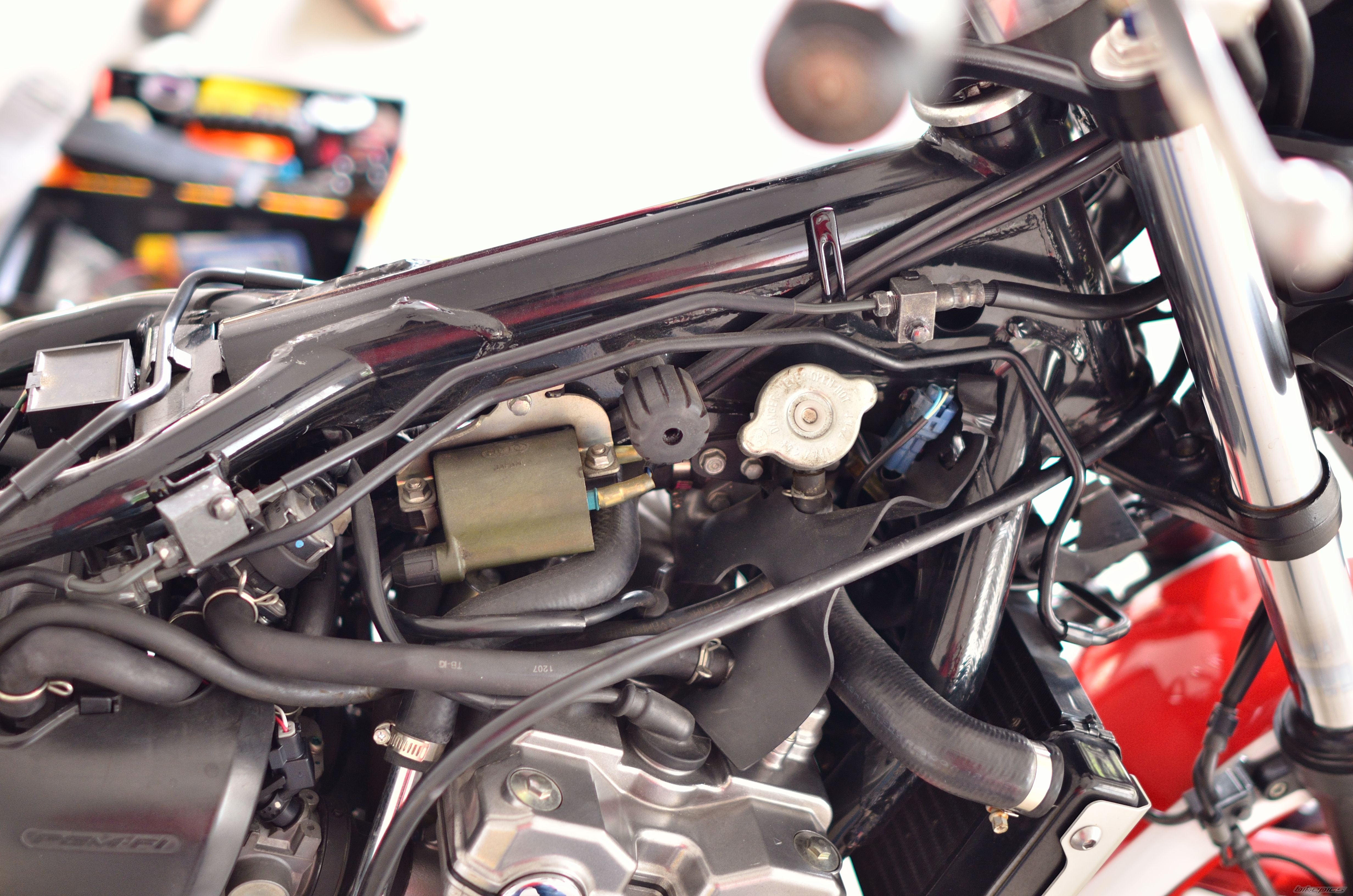 2011 HONDA CB400 REVO | Picture 2539904 motorcycle photo