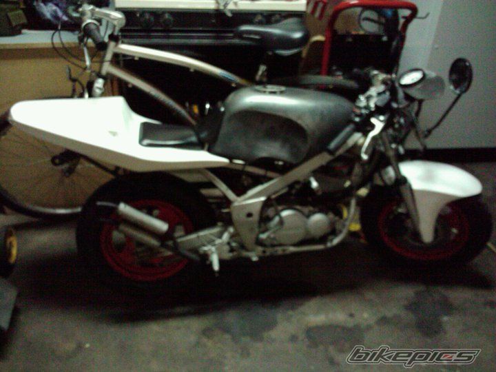 1987 YAMAHA YSR 50 | Picture 2540658 motorcycle photo